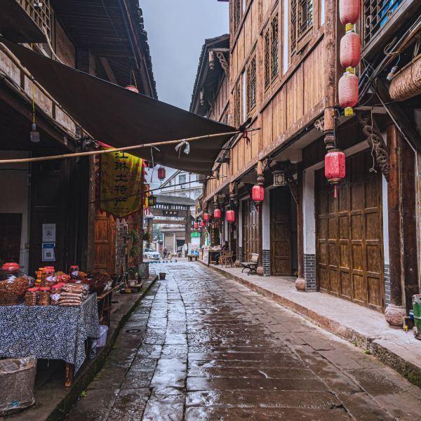 花旗:维持比亚迪股份(01211)“买入”评级 目标价463港元